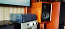 mission V300 美聲音箱HiFi音箱書(shū)架箱無(wú)源音箱家用HiFi音響無(wú)源音響木質(zhì)音箱 美聲V300+天逸AD-66DPRO HiFi專(zhuān)區 曬單實(shí)拍圖