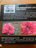 卓美（ZOMEI）微距鏡67mm55近攝鏡相機鏡頭佳能77濾鏡尼康微單反微距鏡頭40.5增距鏡 2/4/8倍經(jīng)典三片套裝(送濾鏡包+攝影教程) 55mm 曬單實拍圖