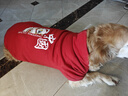 Lanswood 狗狗衣服拉布拉多金毛大型犬小型犬泰迪柯基柴犬狗衣服中大型犬 紅衣-中國年獸 9X建議85斤左右 曬單實(shí)拍圖