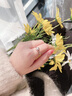 梵吉雅莫桑鉆925銀戒指女求婚鉆石結婚紀念日1克拉D色鉆戒子生日禮物 簡(jiǎn)愛(ài)款莫桑鉆-50分【免費刻字】 活口戒指-可調節 曬單實(shí)拍圖