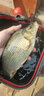 達(dá)億瓦（DAIWA）ASTRON ISO TYPE-S 半浮水磯釣線耐磨釣魚線 橙色尼龍主線 橙色-200m 6號(hào) 曬單實(shí)拍圖