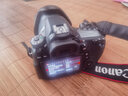佳能（Canon）EOS 60D 70D 80D 90D 1300D半畫(huà)幅二手單反相機 專(zhuān)業(yè)數碼照相機 99新 佳能70D 18-200 IS 標配【無(wú)內存卡等配件，套餐更劃算】 99新 曬單實(shí)拍圖