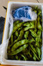 辰實(shí)東北油豆角（順豐）九月青新鮮豆角 開鍋爛面豆角大寬扁豆蔬菜 5斤 曬單實(shí)拍圖