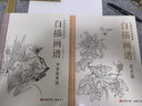 中國畫(huà)白描入門(mén)篇  國畫(huà)白描描摹本 白描臨摹本畫(huà)譜底稿工筆畫(huà) 零基礎白描入門(mén) 梅蘭竹菊花鳥(niǎo)虎貓馬犬 花卉植物禽鳥(niǎo)動(dòng)物山水樹(shù)木鳥(niǎo)獸魚(yú)蟲(chóng) 工筆仕女 工筆花卉描摹本 線(xiàn)描畫(huà)臨摹 中國畫(huà)白描入門(mén)篇【花卉+畫(huà)具 曬單實(shí)拍圖