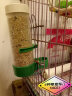 威毕鹦鹉鸟用饮水器小鸟鸟笼芦丁鸡自动下料喂鸟器喂食喂水壶鸟食食盒 自动下料器 实拍图