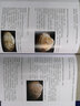 中國海岸帶大型底棲動(dòng)物資源 科學(xué)與自然 李寶泉等編著 科學(xué)出版社 9787030586643 曬單實(shí)拍圖