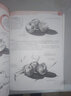 世界繪畫經(jīng)典教程：素描與色彩的極致表現(xiàn)（繪客出品） 曬單實(shí)拍圖