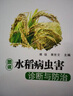圖說水稻病蟲害診斷與防治 曬單實拍圖