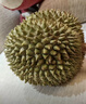 【順豐】馬來(lái)西亞黑刺貓山王榴蓮當(dāng)季液氮帶殼冷凍樹(shù)上熟整果 4.5-5斤*2個(gè)裝 曬單實(shí)拍圖