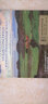 瑞典浪漫小提琴協(xié)奏曲（CD） 曬單實(shí)拍圖