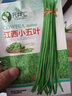 壽禾 大芯香菇芥蘭種子雞腿芥藍紫芥蘭蔬菜壽光農(nóng)家秋冬季播種菜種籽 雞腿芥蘭種子30g裝 曬單實拍圖