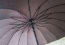 天堂傘16骨長(zhǎng)柄雨傘超大雙人直柄傘自動(dòng)雨傘簡(jiǎn)約大傘男 黛藍(lán)色 曬單實(shí)拍圖