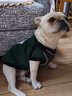 DADAGOU寵物狗狗衣服斗牛犬棉衣法斗巴哥棉馬甲沙皮胖狗衣服冬裝加絨保暖 斗牛格子棉衣 軍綠 XL-胸圍60背長35 曬單實拍圖