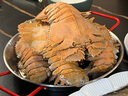 沢素灣 國產(chǎn)海鰲蝦 東海舟山深海鰲蝦 刺身級生吃食材送禮禮盒 1000g(凈重)  17-19cm（7-9只/斤） 曬單實(shí)拍圖