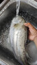 遠投顫泳沉水鉛筆套裝緩沉米諾淡海翹嘴鱖魚(yú)鱸魚(yú)鱤魚(yú)路亞假餌 14g沉水鉛筆【5只裝】 曬單實(shí)拍圖