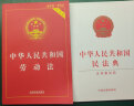 中华人民共和国民法典（含草案说明32开白皮版批量咨询京东客服）2021年1月起正式施行 实拍图
