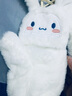 帝行（DIXING）大白狗手套女秋冬可愛學(xué)生ins騎車保暖手套卡通少女心翻蓋毛絨 白色大白狗 曬單實(shí)拍圖