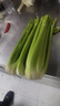 【現(xiàn)摘順豐】山東壽光榨汁西芹新鮮10斤芹菜去半葉西洋芹脆嫩蔬菜 【現(xiàn)摘現(xiàn)發(fā)+順豐到家】=新鮮出汁 【去葉3斤】品質(zhì)嘗鮮 曬單實拍圖