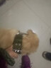小不點(diǎn)狗繩狗鏈牽引繩大型犬 項(xiàng)圈牽引繩套裝 邊牧金毛用品中大型犬 軍綠色-尼龍編制款  XL號(hào) 項(xiàng)圈46-59cm 適合75-110斤內(nèi) 曬單實(shí)拍圖
