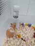 比克熊  仓鼠水壶白色80ml+杯刷不锈钢滚珠防漏饮水器仓鼠立式喝水用品 实拍图