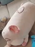星舵高檔汽車(chē)抱枕被子兩用車(chē)載車(chē)上加厚車(chē)用午睡車(chē)內卡通LL6 抱枕被-粉色瞌睡豬 曬單實(shí)拍圖