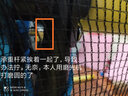 邁康（MIKING）安全護(hù)網(wǎng)蹦蹦床跳跳床 家用兒童訓(xùn)練玩具彈跳床室內(nèi)健身運(yùn)動(dòng)器材 60英寸直徑1.5米藍(lán)色-彈力織帶款 曬單實(shí)拍圖