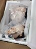 果亦橙雞腿琵琶腿肉散養(yǎng)土雞腿肉新鮮大雞腿肉批發(fā)生雞肉食材生鮮凈重 新鮮琵琶腿八斤 曬單實(shí)拍圖