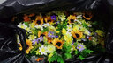 潤蕾 仿真太陽(yáng)花向日葵花束絹花假花塑料客廳裝飾擺放舞蹈拍攝道具 7頭向日葵 曬單實(shí)拍圖
