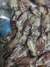 哈皮猴 大海兔干魷魚干500g不帶籽烏賊干魷魚仔 海鮮干貨非即食 250g*2袋 曬單實拍圖