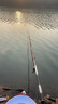 小鳳仙高靈敏魚漂加粗醒目三色尾彩金納米魚浮漂陰晴尾鯽魚套裝炫彩浮標(biāo) RN-J11湖庫(kù)混養(yǎng)加粗尾鉛約4.20g 常規(guī)尾RN-J3（單只裝） 曬單實(shí)拍圖