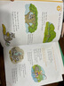 小學(xué)英語閱讀技巧一年級 英文原版 Flash Kids 英文版 Reading Skills Grade 1家庭英文練習(xí)冊 Harcourt Family Learning 輔助工具書哈考特 曬單實(shí)拍圖