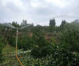 farmer bobo一寸合金搖臂噴頭360度自動旋轉(zhuǎn)園林果樹草坪農(nóng)田灌溉霧化灑水器 噴頭+1.5米支架 曬單實拍圖