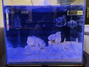匯鱗鼎/匯鱗鼎超白海水珊瑚魚(yú)缸水族箱小丑魚(yú)珊瑚客廳辦公室海水缸套缸CB-400黑色海水套缸 曬單實(shí)拍圖