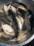 釣嗨尼太空豆競技太空豆硅膠太空豆緊大號釣魚(yú)用品漁具小配件硅膠套裝全 斑點(diǎn)大物無(wú)影豆-中號（單組）適合線(xiàn)徑10-15# 曬單實(shí)拍圖