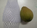 譯優(yōu)農(nóng)【順豐新疆直發(fā)】新疆庫爾勒香梨 特級酥脆香甜梨子母梨 新鮮水果 9斤精選一級果【單果100-120g】 曬單實(shí)拍圖