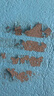 梵竹水性環(huán)氧地坪漆水泥地家用室內(nèi)停車場(chǎng)倉(cāng)庫(kù)廠房地板漆室外地面油漆 中灰-送工具 2L（約刷20平方/遍） 曬單實(shí)拍圖