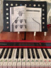 电子琴秘笈36招 让你快速上手的电子琴基础教程 电子琴入门 简谱版(优枢学堂出品) 实拍图