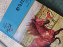 【新華正版】鳥奴(升級版) 動物小說大王沈石溪品藏書系 浙江少年兒童出版社 曬單實拍圖