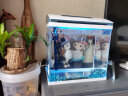 MinkSheen 鱼缸水族箱金鱼缸超白玻璃鱼缸水族箱客厅桌面创意小型免换水 360直角超白+温显+7色调光+过滤增氧 实拍图
