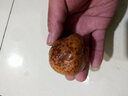 佛心果手串原籽燈芯菩提原料掛墜釋迦菩提原果菩提果單顆大果把件SN7535 佛心果中果5-6顆 曬單實(shí)拍圖