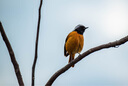 尼康/Nikon 70-300/4.5-5.6E VR防抖全畫(huà)幅遠(yuǎn)攝長(zhǎng)焦變焦鏡頭 二手單反鏡頭95新 AF-S 80-400/F4.5-5.6G VR  95新 曬單實(shí)拍圖