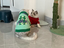 華元寵具（hoopet）貓咪衣服秋冬保暖寵物春季防掉毛軟糯冬季幼貓成貓毛線(xiàn)衣毛衣 高領(lǐng)菱形毛衣 L：胸圍44cm  建議9-12斤 曬單實(shí)拍圖