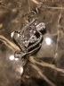 迪后（Dirholl）品牌花束胸針高檔女胸花別針西裝配飾品送女友老婆教師節生日禮物DH銀色花束胸針【精美禮盒】 曬單實(shí)拍圖