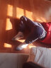 圣梵龙碳晶地暖垫电热地板发热地毯地热地垫子电热炕韩国石墨烯儿童客厅 红棕木纹色 150厘米x180厘米 智能温控 实拍图