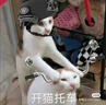 影器INKEE三足烏GC60影視手電補光燈雙色溫直播攝影燈手持小型便攜外拍燈室內(nèi)影棚拍照視頻拍攝打光燈 補光燈套餐2：雙色溫標配+束光筒 曬單實拍圖