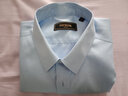 雅戈爾【200支紗純棉】襯衫男秋季長(cháng)袖不易皺DP免燙百搭襯衣商務(wù)休閑 淺藍 40 曬單實(shí)拍圖