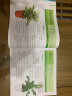 与绿植同呼吸：超人气观叶植物新手养护不败指南 实拍图