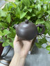 溪茗軒宜興紫砂壺純全手工大師手制泡茶壺高檔茶具龍把西施壺教師節禮物龍把西施壺【禮盒裝】 230ml 曬單實(shí)拍圖
