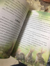 西頓動(dòng)物記斯普林菲爾德狐貍彩繪版 小學(xué)生3456年級課外閱讀書(shū)籍8-10-12歲經(jīng)典兒童文學(xué)動(dòng)物小說(shuō) 曬單實(shí)拍圖