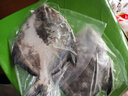 海鮮頌大斗鯧魚(yú) 白鯧魚(yú) 深海捕撈國產(chǎn)海漁 扁魚(yú)平魚(yú)東山島海鮮水產(chǎn) 魚(yú)類(lèi) (500-600)g/條 曬單實(shí)拍圖